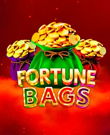 Spielcover Fortune Bags
